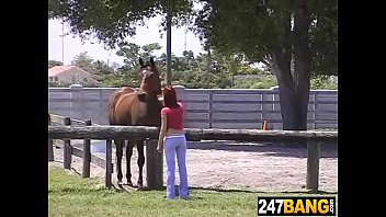 Horse And Man Nxxxn - Horse Girl Xnxx Porn Videos - LetMeJerk