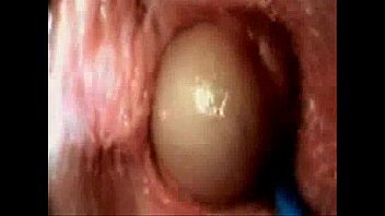 Internal Vagina Cam Porn Videos - LetMeJerk